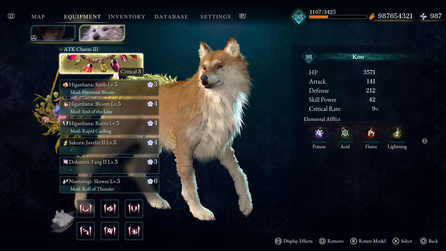 BEAST OF REINCARNATION "NEW GAME + NG+" STARTER PACK (PS5) MULTI